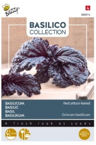 080914 bazalka cerveny salatovy list4